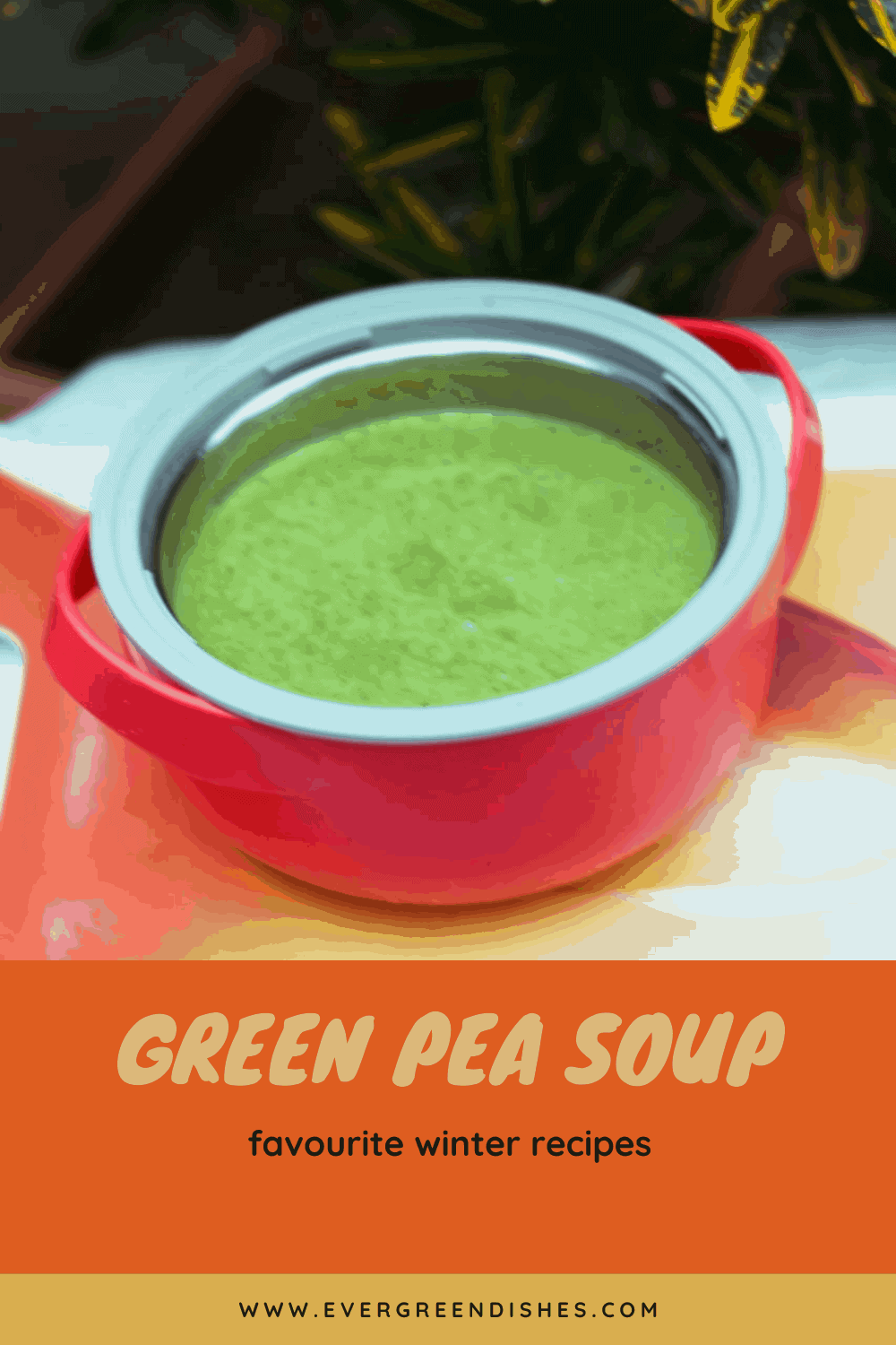 Green Pea Soup is a flavoursome soup to enjoy during winter season. Addition of a few mint leaves gives a good taste to it.