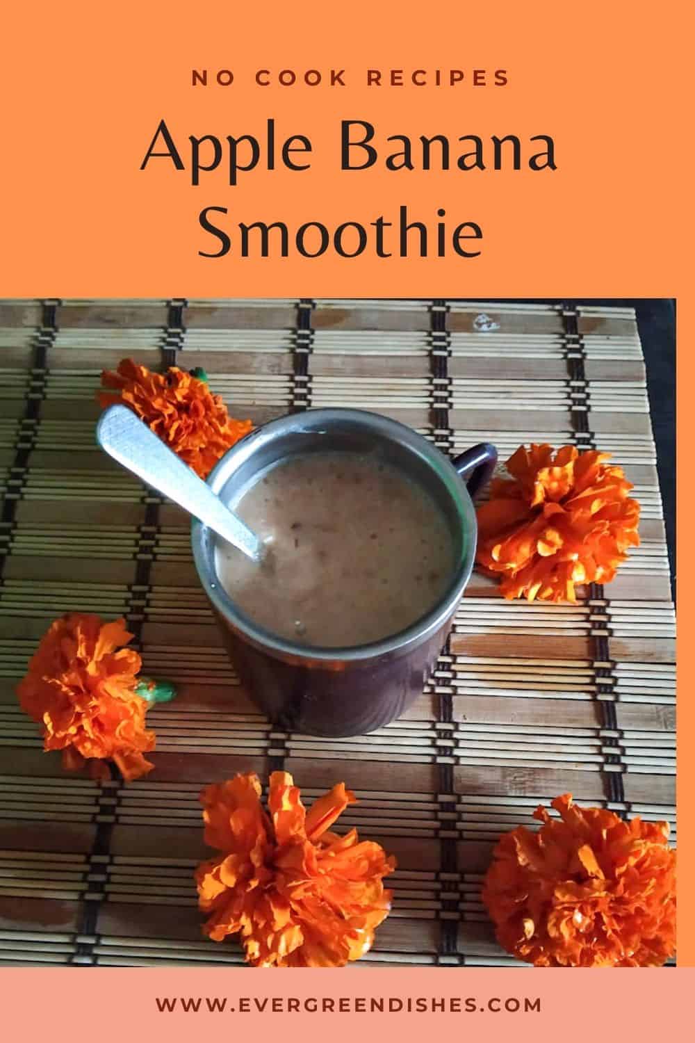 Apple Banana Smoothie is a healthy, tasty and filling breakfast. It is easy to make and ideal to serve for people of all ages. 