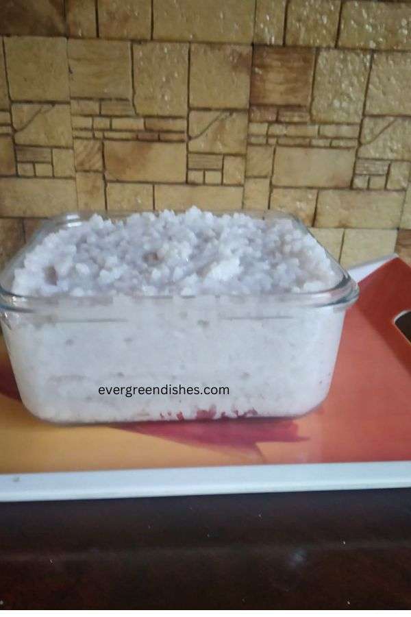 rice porridge