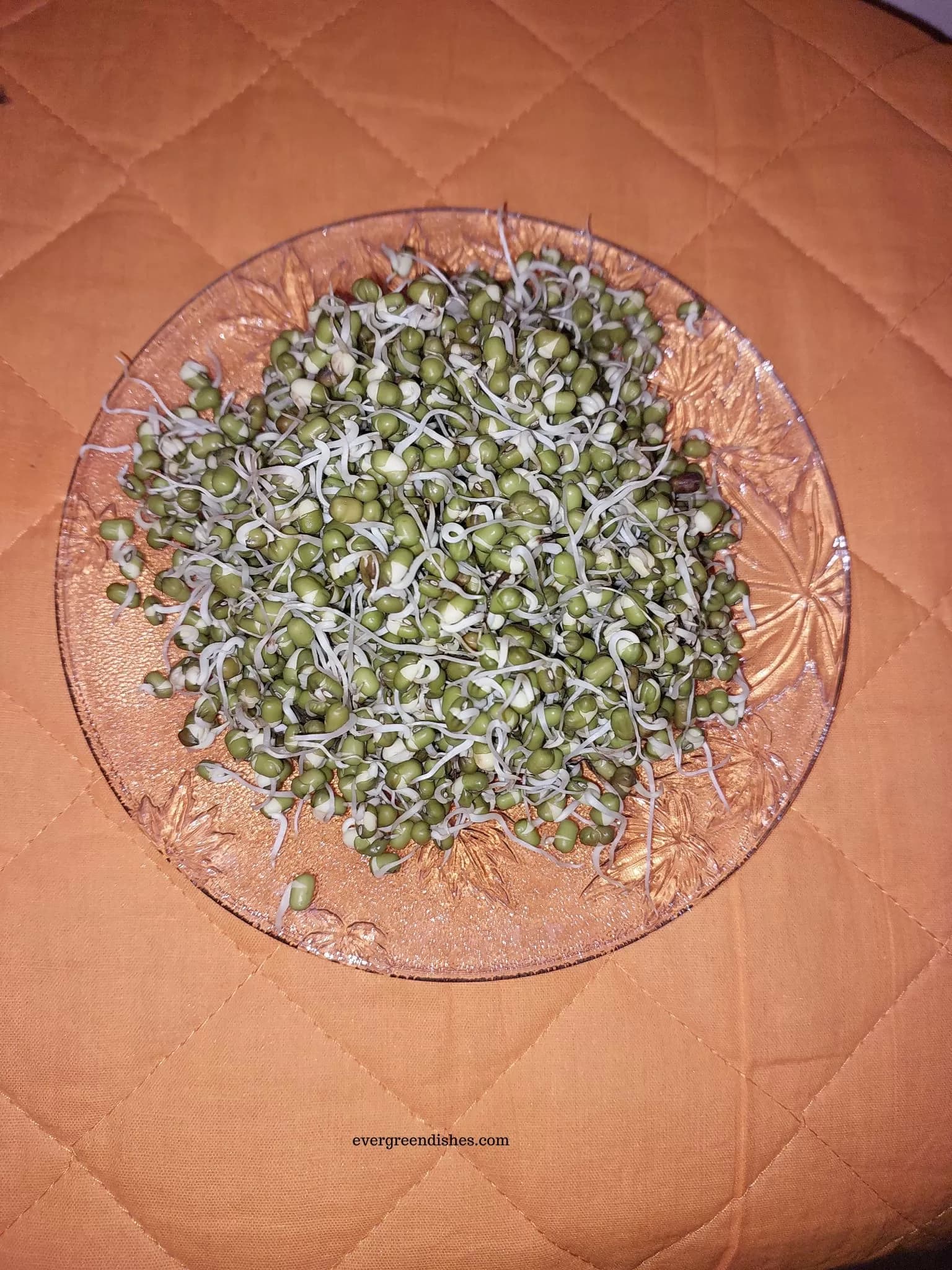 Photograph of How to make sprouts