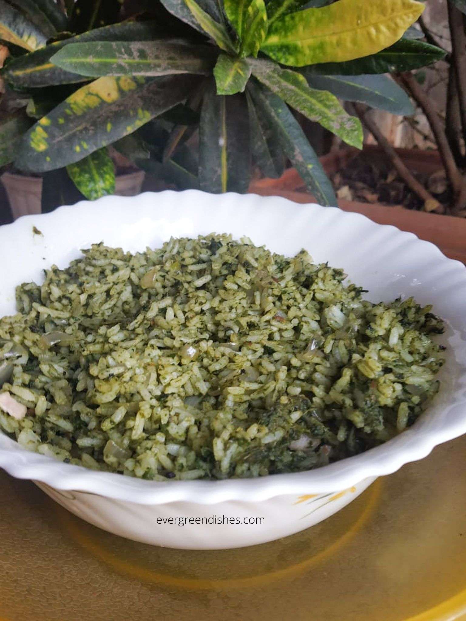 Photograph of Spinach Rice Recipe | Palak Rice