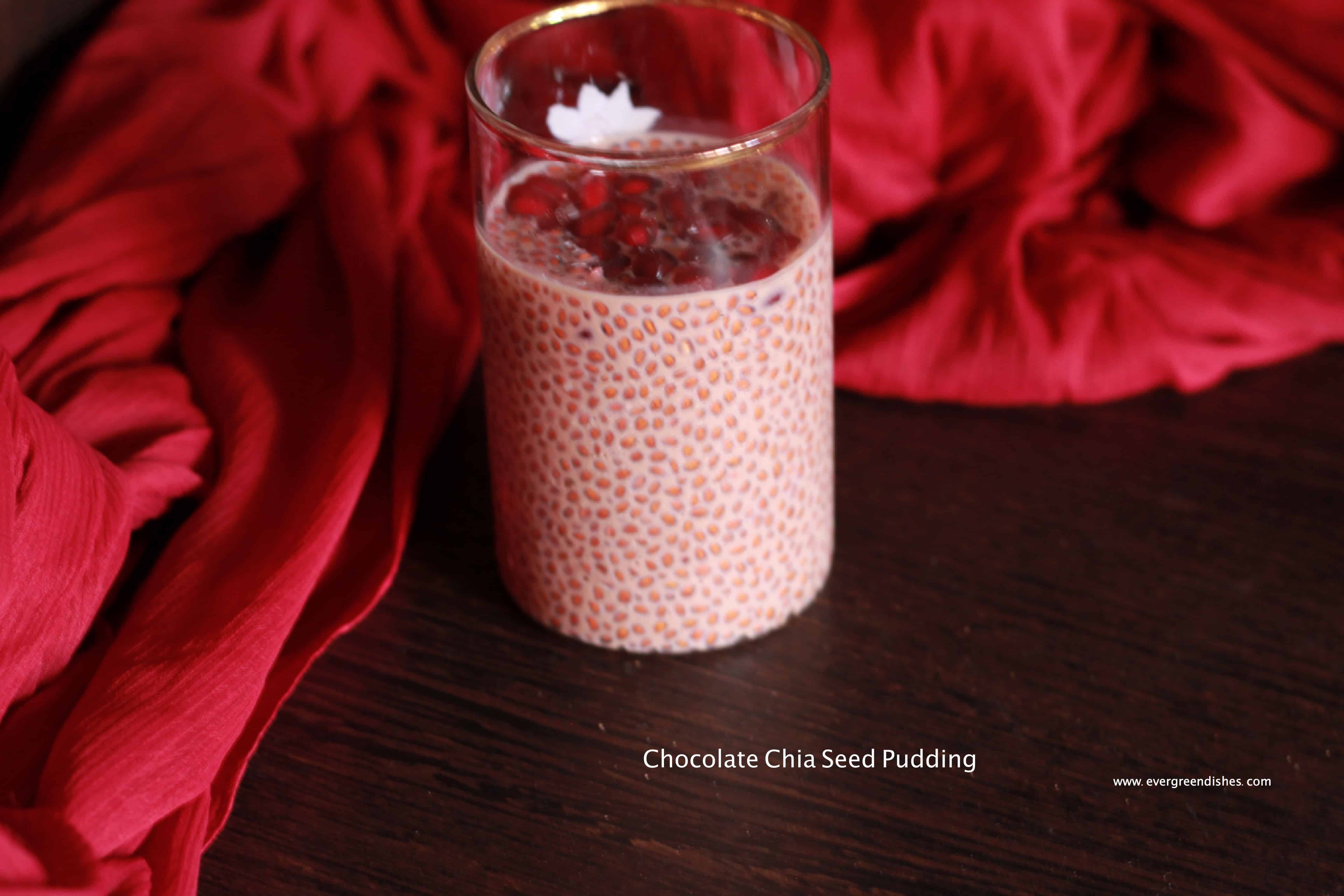chocolate chia seed pudding