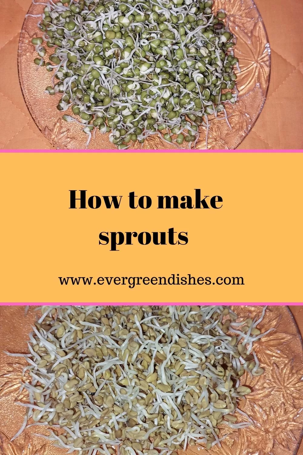 how to make sprouts