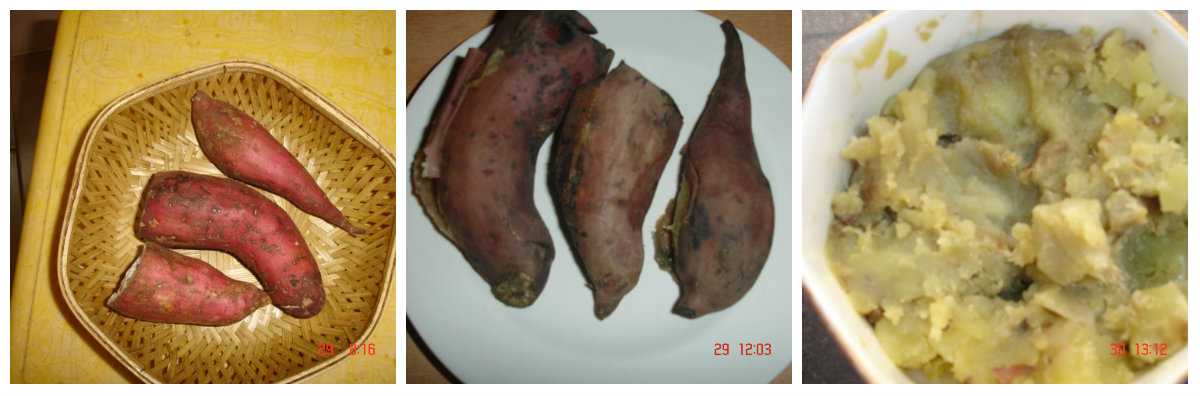 sweet potato