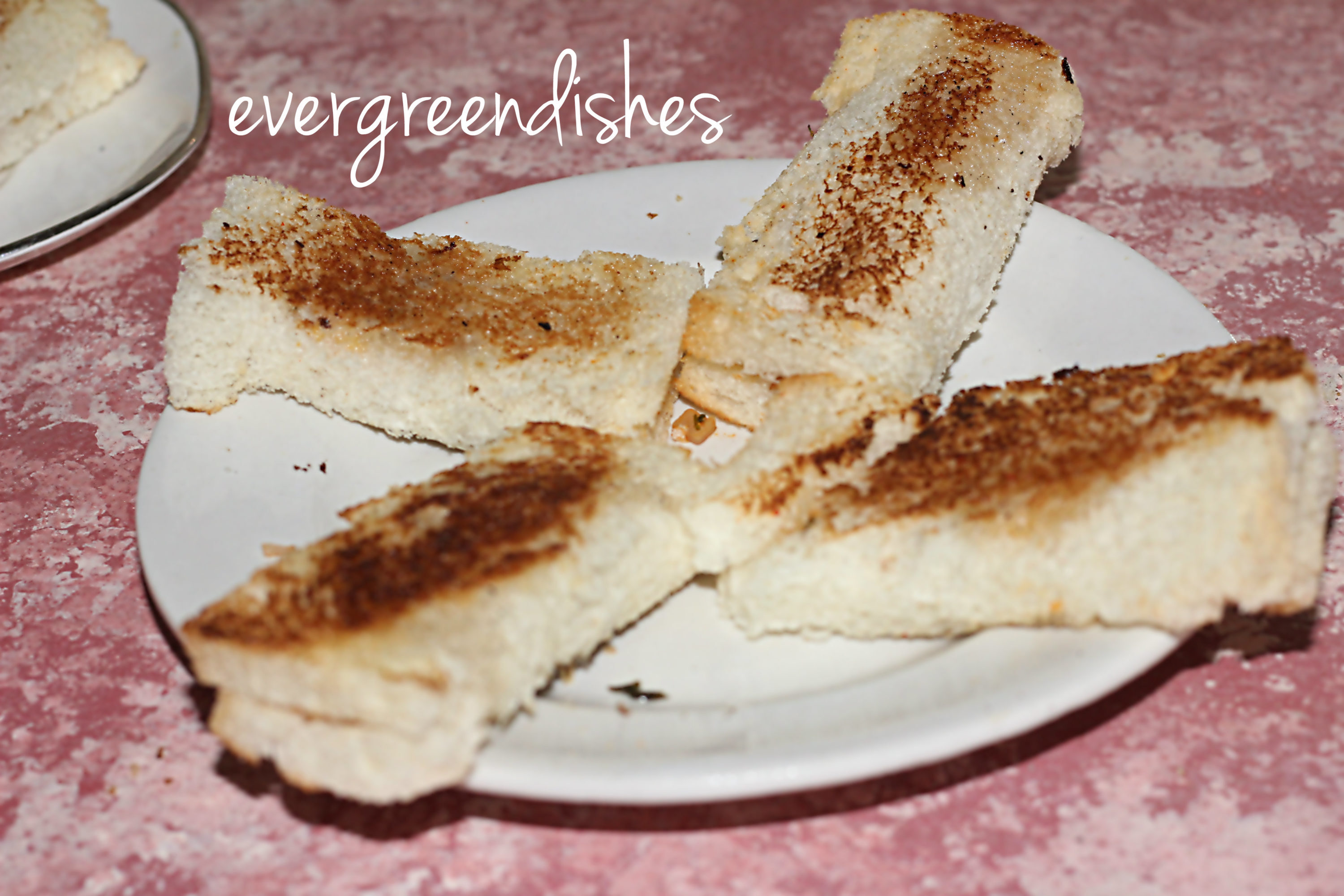 Grilled Paneer slabs