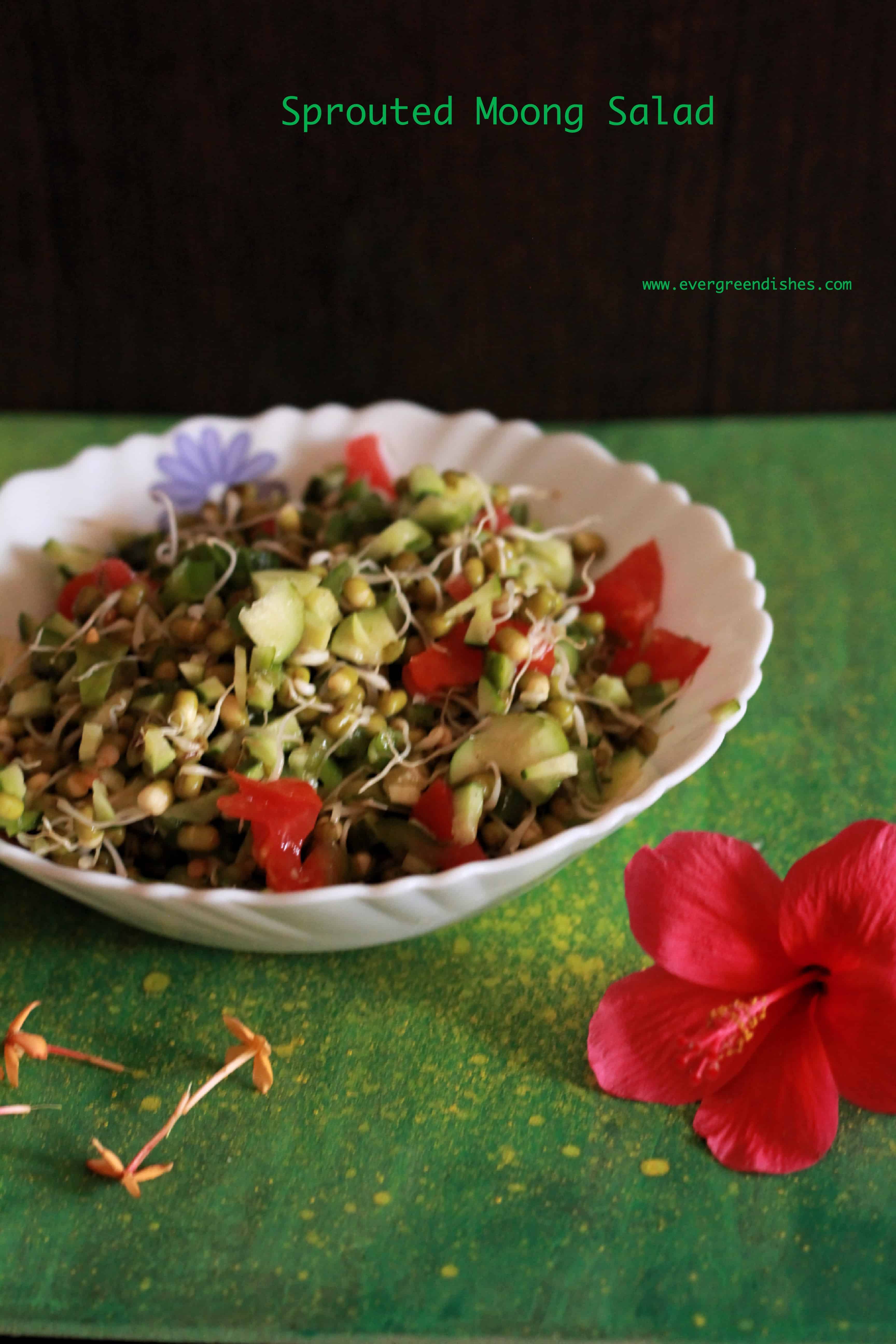 sprouted moong salad