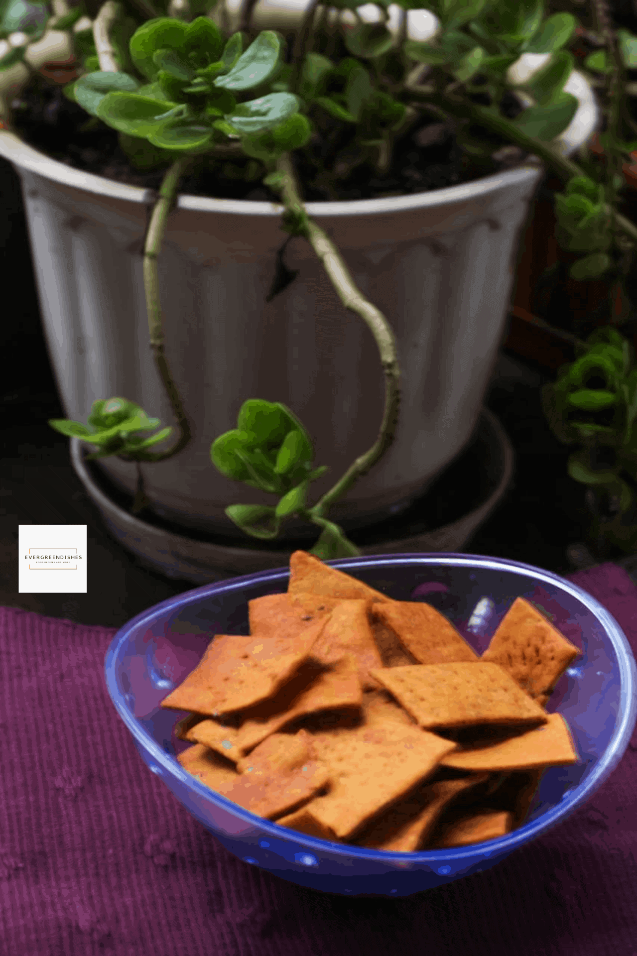 Baked Wheat Crackers