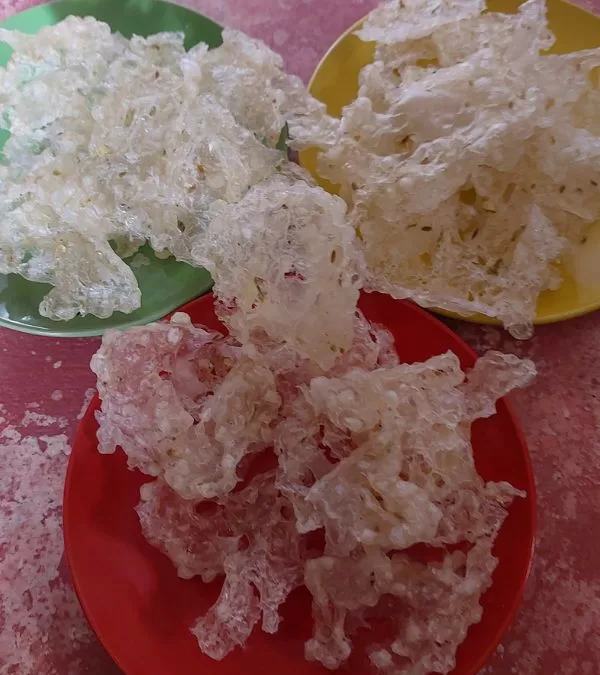 Sabudana Papad | Sago Fryums | Sabudana Sandige