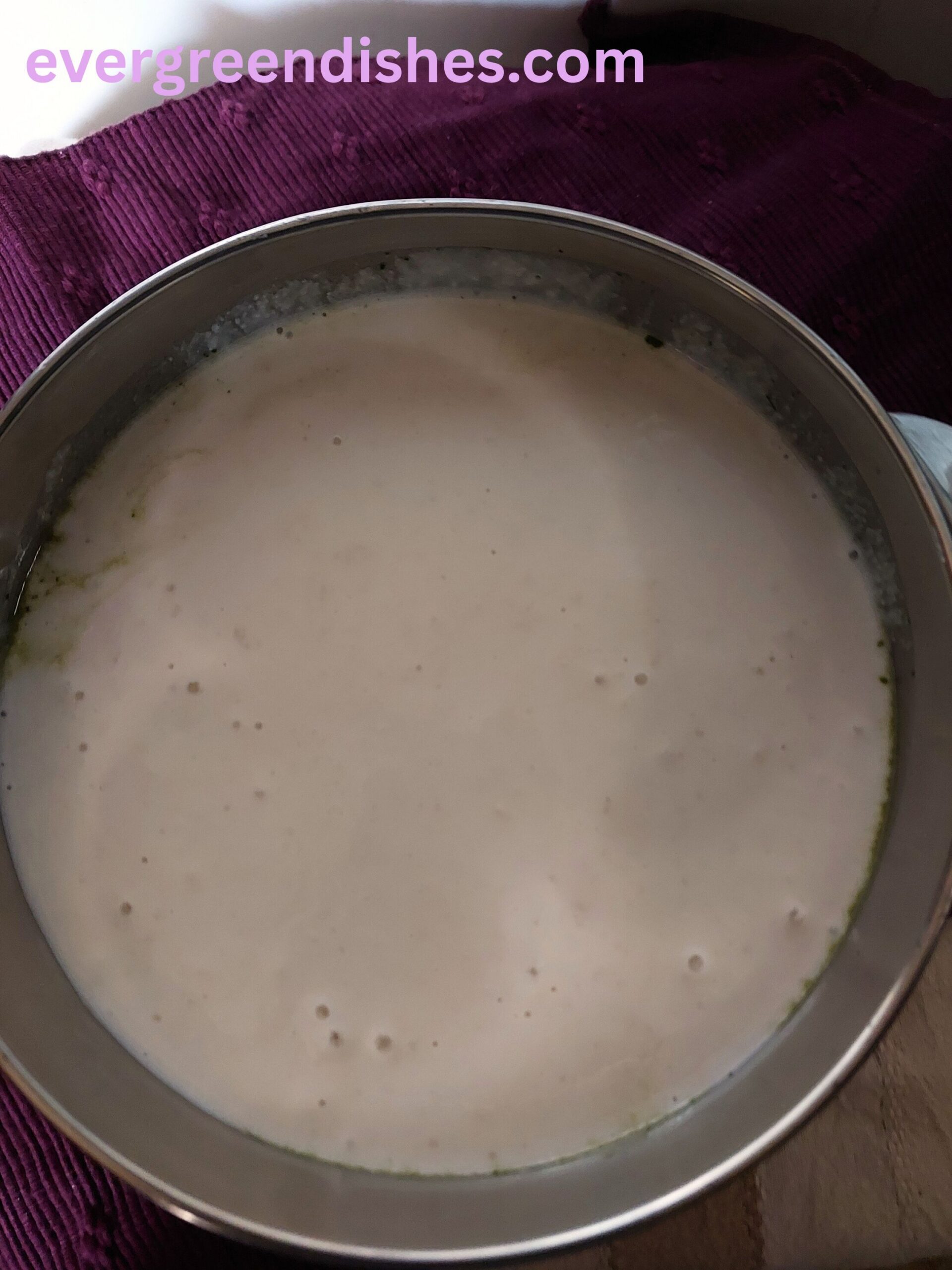 Dosa Batter